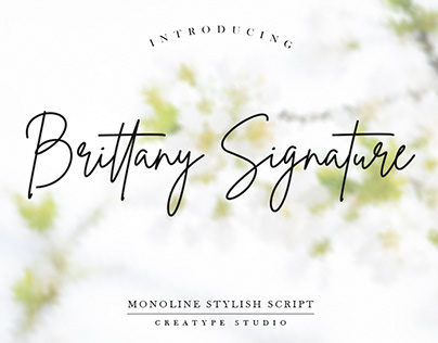 Brittany Signature Monoline Stylish Script