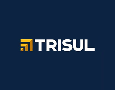 Trisul - Social Media (Reels) Posts
