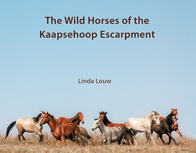 The Wild Horses of the Kaapsehoop Escarpment