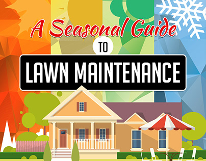 A Seasonal Guide to Lawn Maintenance