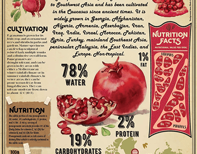 Pomegranates Infographic