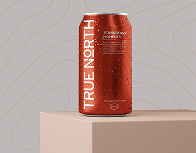True North | Logo & Design packaging