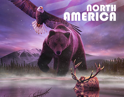 North America wild life