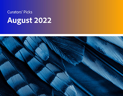 Curators' Picks August 2022