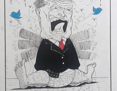 Political cartoon - 2018