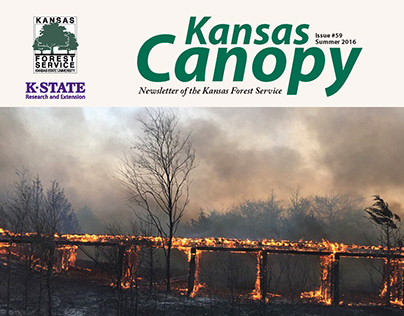 Kansas Canopy