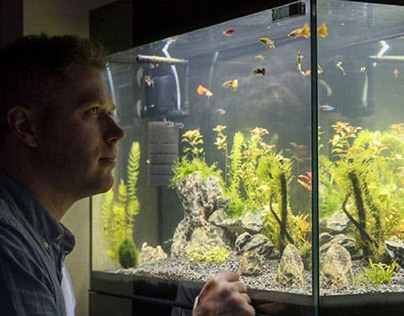 The Best 55 Gallon Fish Tanks in 2020