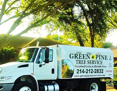 Green Pine Tree Services