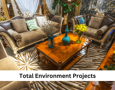 A Review of the Total Environment Projects