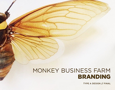 Monkey Business Farm // Rebrand