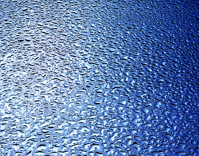 Morning Dew on the Roof of a Car