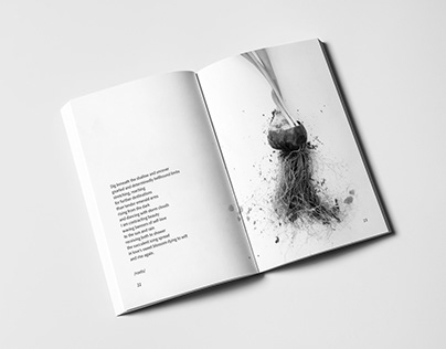 Published Author: Book, Product and Website Design