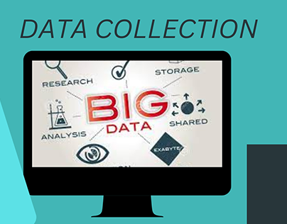 A Comprehensive Guide to Data Collection Services