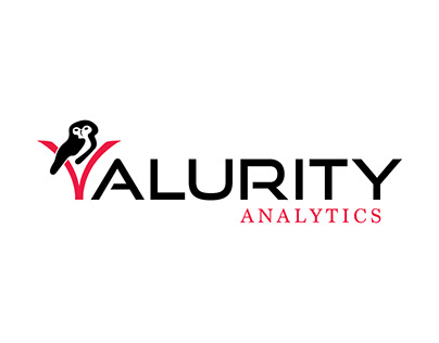 Valurity Analytics (Logo, Business Cards, and Apparel)