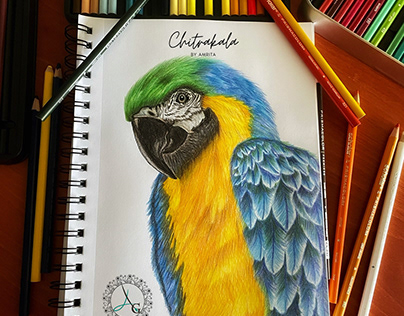 Project thumbnail - Blue and Gold Macaw