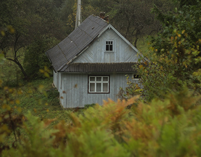 A collection of Carpathian houses
