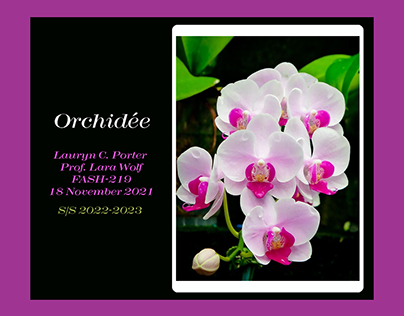 Orchidee by Lauryn Porter (2021)