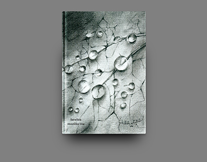 Book cover Illustration-Fissures