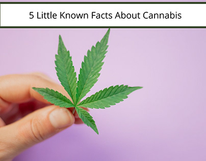 5 Little Known Facts About Cannabis