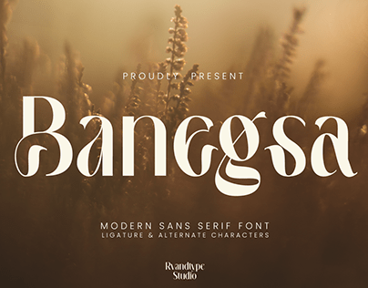 Banegsa Display Font