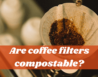 Are Coffee Filters Compostable?