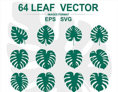 Monstera Leaf SVG Bundle