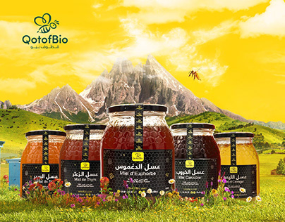 Qotof honey logo | Honey branding