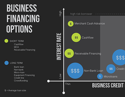 Project thumbnail - Infographic - Business Financing