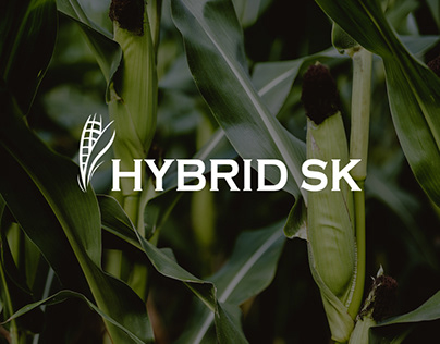 Корпоративный сайт для HYBRID SK