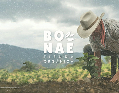 Bonae | Manual de marca