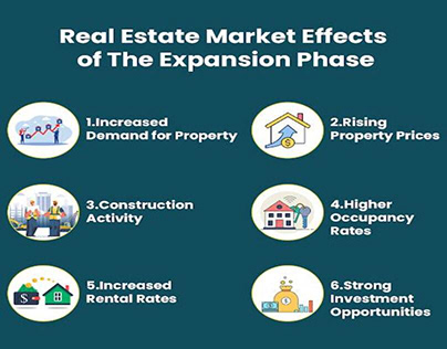 Expert Real Estate Investment Consultant