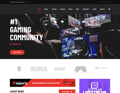 eSports Website Design