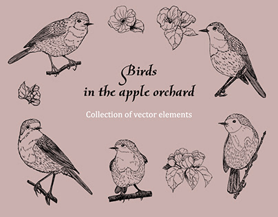 Birds in the apple orchard