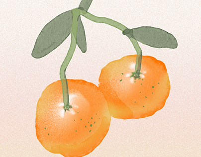 귤 mandarine _illustration