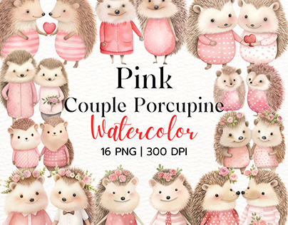 Pink Couple Porcupine Watercolor, Valentines Clipart