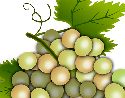 Uvas - Grapes 3