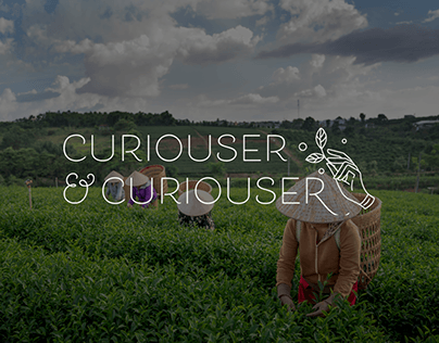 Landing page for Curiouser & Curiouser