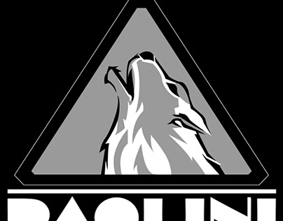 Team paolini logo