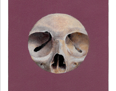 Circle Crop Skull: Colored Pencil (2016)