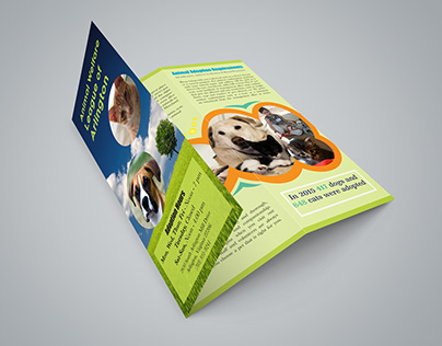 Pet adoption Brochure