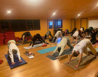 Summer Healing: Yoga Trainings Studios in Melbourne