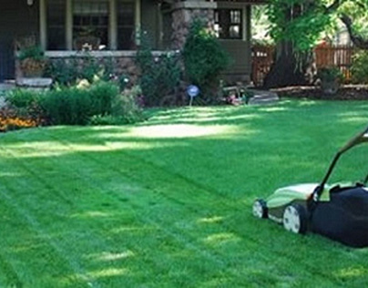 lawn care maintenance