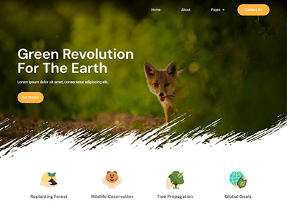 Environmental Non Profit Website | Web Design