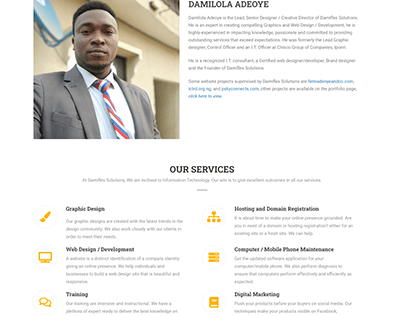Damiflex Solutions Website Design