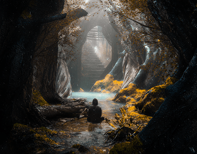 MYSTICAL FORESTSCAPE