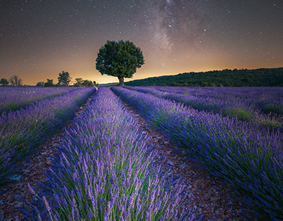 Frankreich - Provence