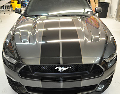 Mustang Gloss Black Stripes with Silver pinstripes