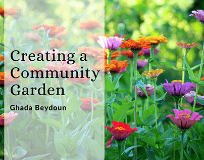 Creating a Community Garden