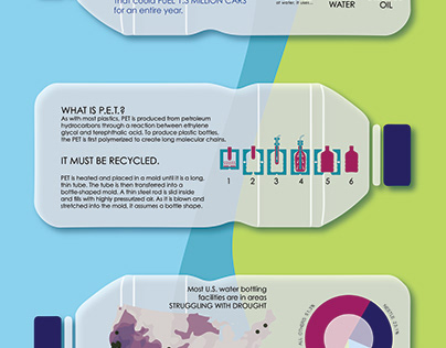 Plastic Bottle Infographic