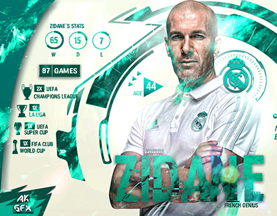 Zinedine Zidane - Infographic Wallpaper